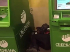 "В помойку превратили помещение": на грязь и бездомных в помещении с банкоматами пожаловались жители Пятигорска