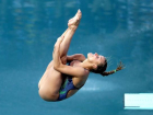 Ставрополье примет российских пловцов на соревнованиях по прыжкам в воду