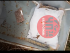Гроб от «груза 200» обнаружили в лесополосе Минераловодского округа местные жители