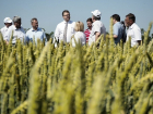 Урожай зерна на Ставрополье в этом году окажется ниже, чем в прошлом