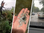 Град, затопления и поваленные деревья: как Ставрополье пережило очередное штормовое предупреждение