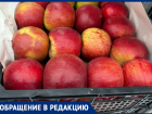 Жители не видят плоды «яблочного королевства» Ставрополья на прилавках местных магазинов  