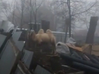 Безмятежного гуляющего верблюда посреди стройки сняли на видео в Ставрополе