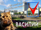 Заменить главу Ставрополя Джатдоева на рыжего кота Василия предложили блогеры