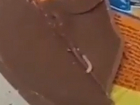 Шоколадное яйцо с червями приобрела жительница Ставрополя в одном из магазинов