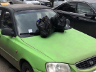 Помешавшую вывезти мусор иномарку завалили пакетами с отбросами в Ставрополе