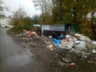 Трупы крыс и помойные кучи "украсили" Михайловск после отказа коммунальщиков посылать мусоровозы к частным домам
