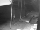 Двое молодых вандалов разнесли рынок самодельными битами на Ставрополье и попали на видео