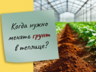 Когда требуется замена грунта в теплице, рассказали в ставропольском Россельхозцентре
