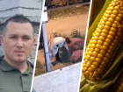 Отказ военному в лечении, банда бабушек-флористов и пестициды в кукурузе: что обсуждало Ставрополье на этой неделе 
