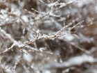 Снегу на Рождество в Ставрополе быть, но мало — прогноз погоды на 7 января