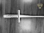 В Изобильном вынесли приговор пассажиру за жестокое избиение полицейского битой и наручниками
