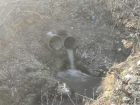 Более 7 лет две реки в Минераловодском округе страдали от рук властей