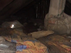 Заброшенный дом с трупом на чердаке сдали власти многодетной семье на Ставрополье