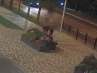 Ночные набеги на клумбы Ставрополя закончились задержанием 42-летнего мужчины 