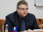 Общественники назвали поправки губернатора Ставрополья в закон «жирных котов» весенним обострением