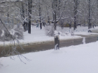 Район Ботаники затопило мощным потоком воды в Ставрополе 