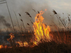 Чрезвычайная пожароопасность установилась в нескольких округах Ставрополья 