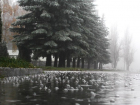 Погода на выходных на Ставрополье сулит дожди