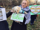 Ставропольчане потребовали ужесточения статьи УК за издевательство над животными