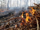 Опасность возникновения пожаров сохранится на неделю в Ставропольском крае