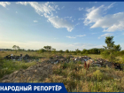 «Из родины свинарник делаете»: жительница города Ипатово пожаловалась на свалку