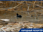 После жалоб власти Михайловска решили убрать строительный мусор в пруд неподалеку