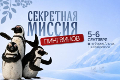 Первый праздник в честь новых жителей на Ферме Альпак пройдет в Ставрополе 5–6 сентября