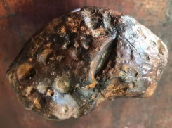 Метеорит или не метеорит, вот в чем вопрос: странный камень продают в Ставрополе за полмиллиона