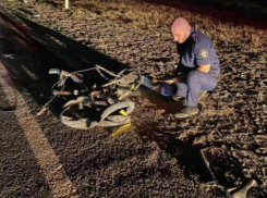 Свидетелей жуткой аварии с участием 3 детей на Ставрополье ищет следком 