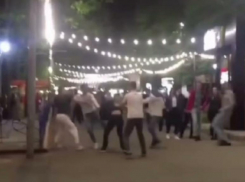 Полиция занялась расследованием драки в Парке Победы в Ставрополе