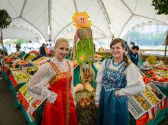 В Ставрополе более 20 производителей представят свою продукцию на ярмарке