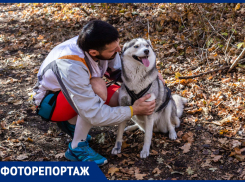 В Ставрополе прошли соревнования по ездовому спорту