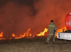 Пожар уничтожил пчелиные ульи на ставропольской пасеке