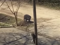 Искателя закладок задержали на улице Пятигорска с крупной дозой героина