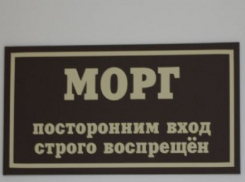 Ради забавы мужчина надругался над трупами в морге на Ставрополье