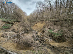 Землетрясение магнитудой 4,3 произошло в Ставропольском крае 