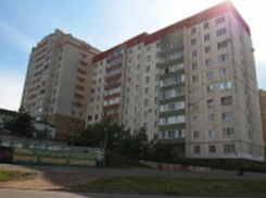 Срубленные тополя на переулке в северо-западной части города возмутили жителей Ставрополя