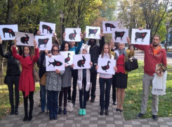 Ставропольчане выступили против убийства животных