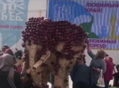 В Ставрополе освежевали «яблочного слона»
