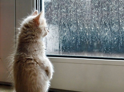 Туман и холод ждут ставропольцев в пятницу