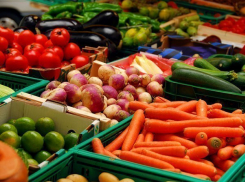 Казаки получат льготы при торговле своей сельхозпродукцией в Ставрополе