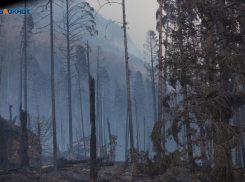 Особый противопожарный режим введут на три месяца на Ставрополье