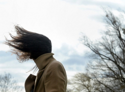 Сильный холодный ветер ждет жителей Ставрополя в воскресенье 