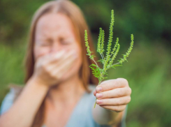 В Ставрополе в целях борьбы с сорняком общественники запустили флешмоб «Покажи свою амброзию»