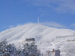 На ставропольского губернатора, правительство и думу подали в суд из-за изъятия охраняемых земель
