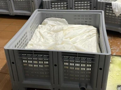 Отравленная молочка для детей привела ставропольских бизнесменов в тюрьму 