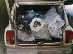 Почти четверть тонны рыбы пытались похитить трое братьев из водоема в Кировском округе