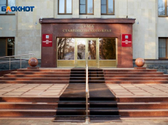 На что депутатам Ставрополья позволят потратить 100 тысяч в 2023 году?