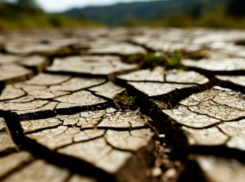 Землетрясение магнитудой 3,6 зафиксировали близ Невинномысска ночью 4 сентября